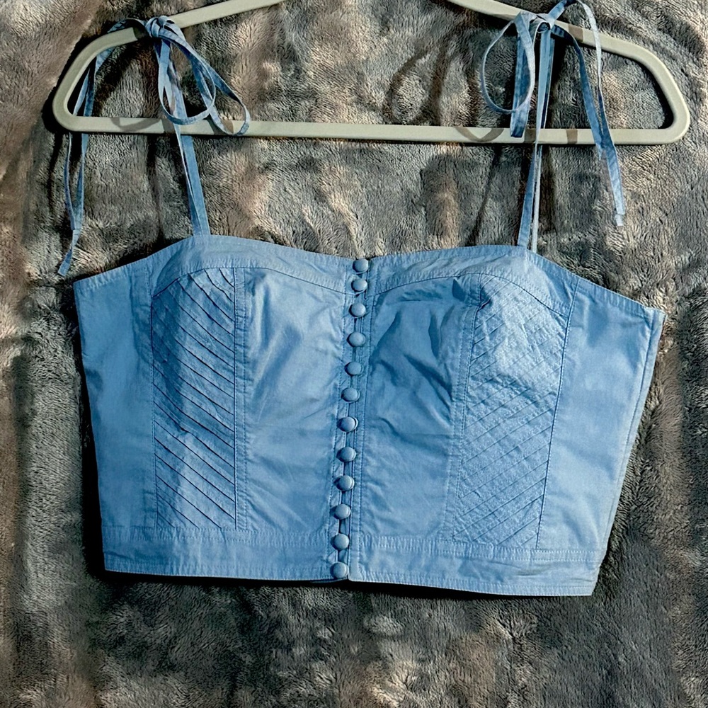 Ulla Johnson Blue Bustier Crop Top